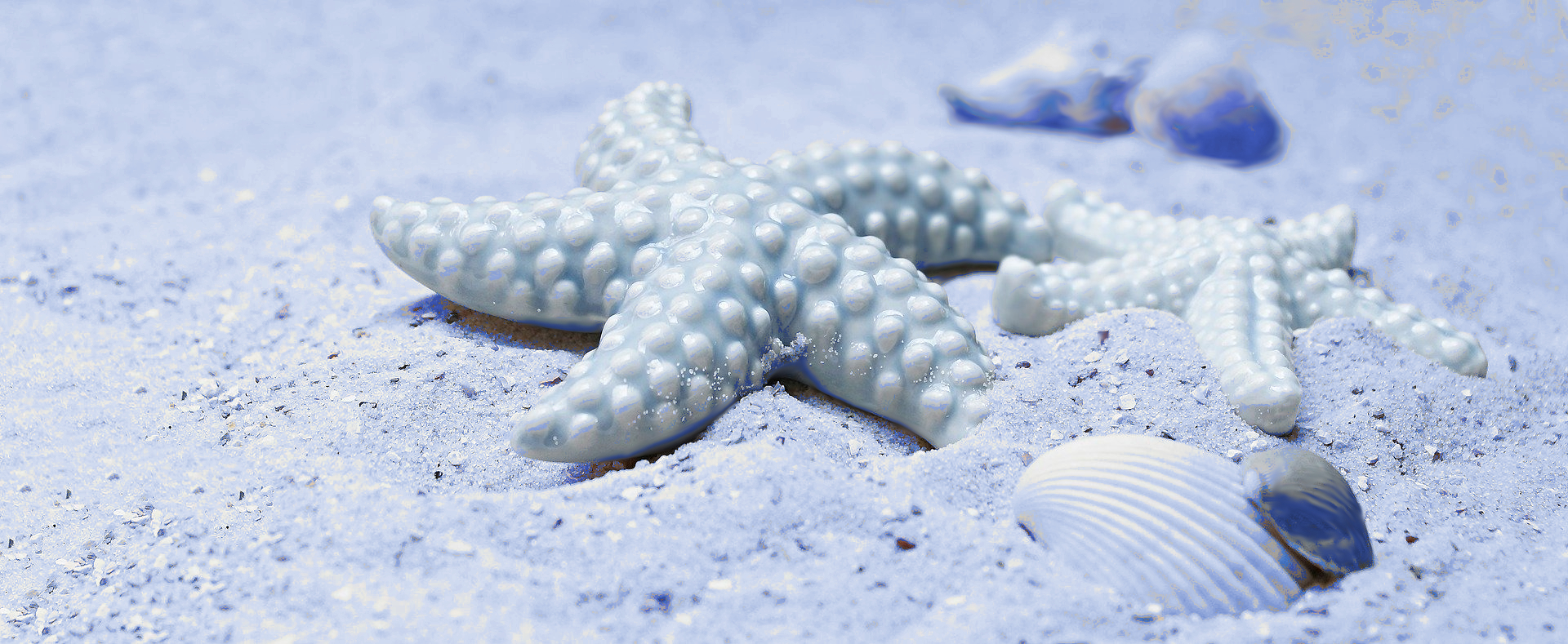 starfish-2423999_1920 Blue